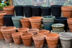 Most gardening pots are the wrong size—use this quick guide so your plants don’t stall