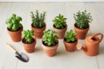 21 simple gardening tips beginners always wish they knew sooner