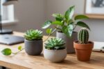 Desk plants that survive AC + low light: 9 picks that don’t look sad by Friday
