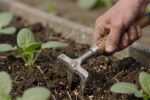 The simple tool gardeners are suddenly obsessed with: what a hand cultivator actually does