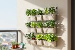 Garden Up’ moment: Turn a bare wall into a mini farm—without drilling (yes, really)