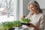 How chia microgreens turned my windowsill into a mini farm