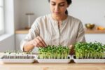 Chia microgreens in 6 days—no gel, no rot. Just crisp greens